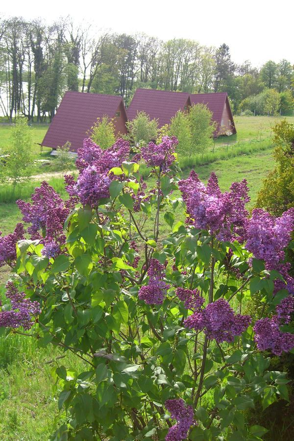 Nad Drawskim Letniskowe Lodge *